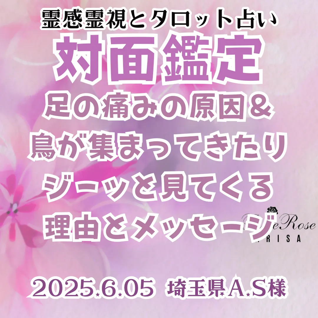 対面鑑定★足の痛みの原因＆鳥が集まってきたりジーッと見てくる理由とメッセージ★埼玉県A.S様