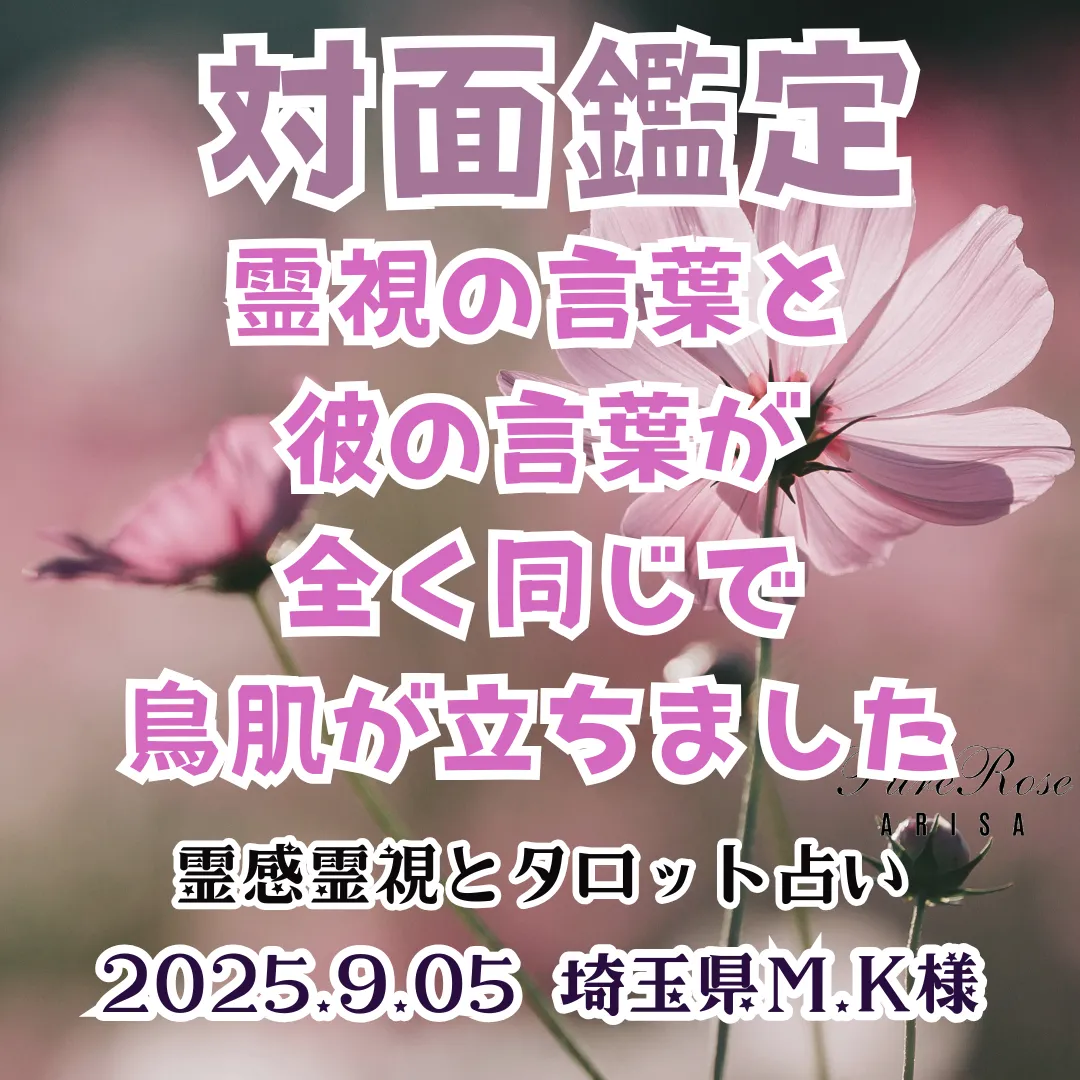 対面鑑定★霊視の言葉と彼の言葉が全く同じで鳥肌が立ちました★埼玉県M.K様