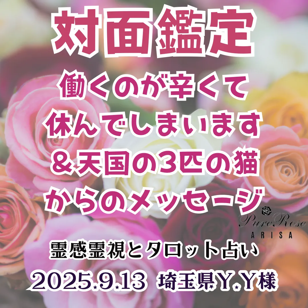 対面鑑定★働くのが辛くて休んでしまいます＆天国の3匹の猫からのメッセージ★埼玉県Y.Y様
