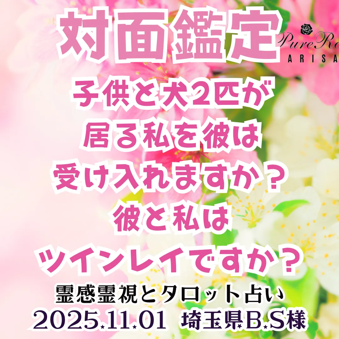 対面鑑定★子供と犬2匹が居る私を彼は受け入れますか？彼と私はツインレイですか？★埼玉県B.S様