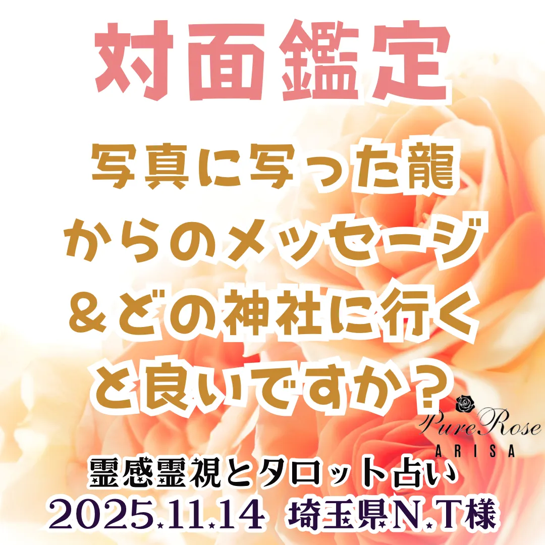 対面鑑定★写真に写った龍からのメッセージ＆どの神社に行くと良いですか？★埼玉県N.T様
