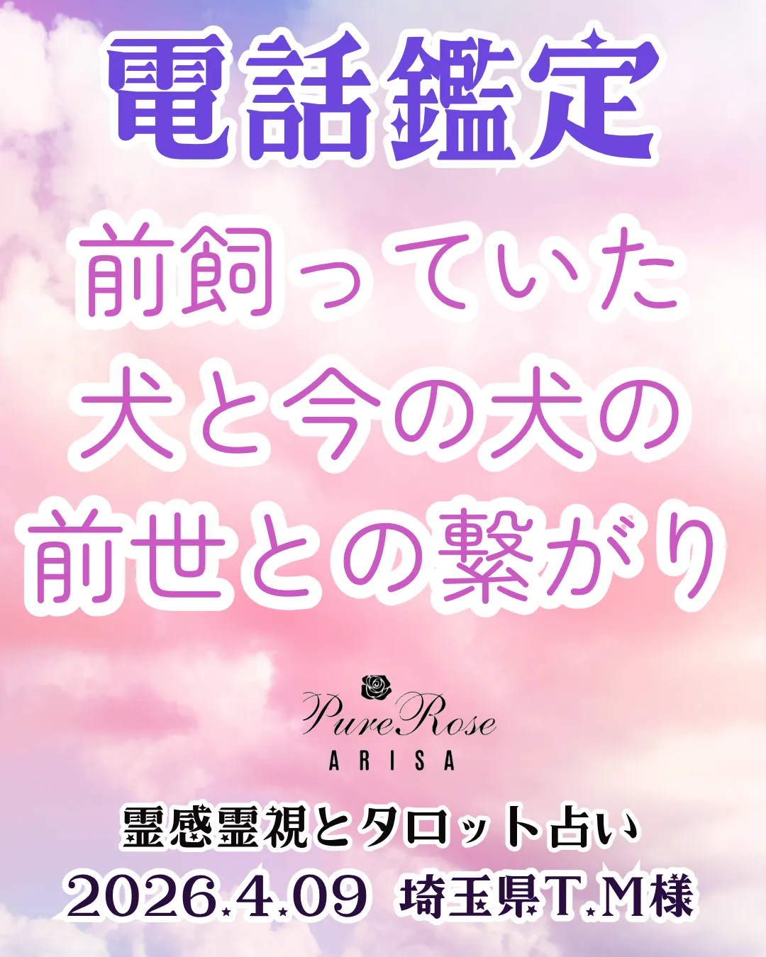 電話鑑定★前飼っていた犬と今の犬の前世との繋がり★埼玉県T.M様