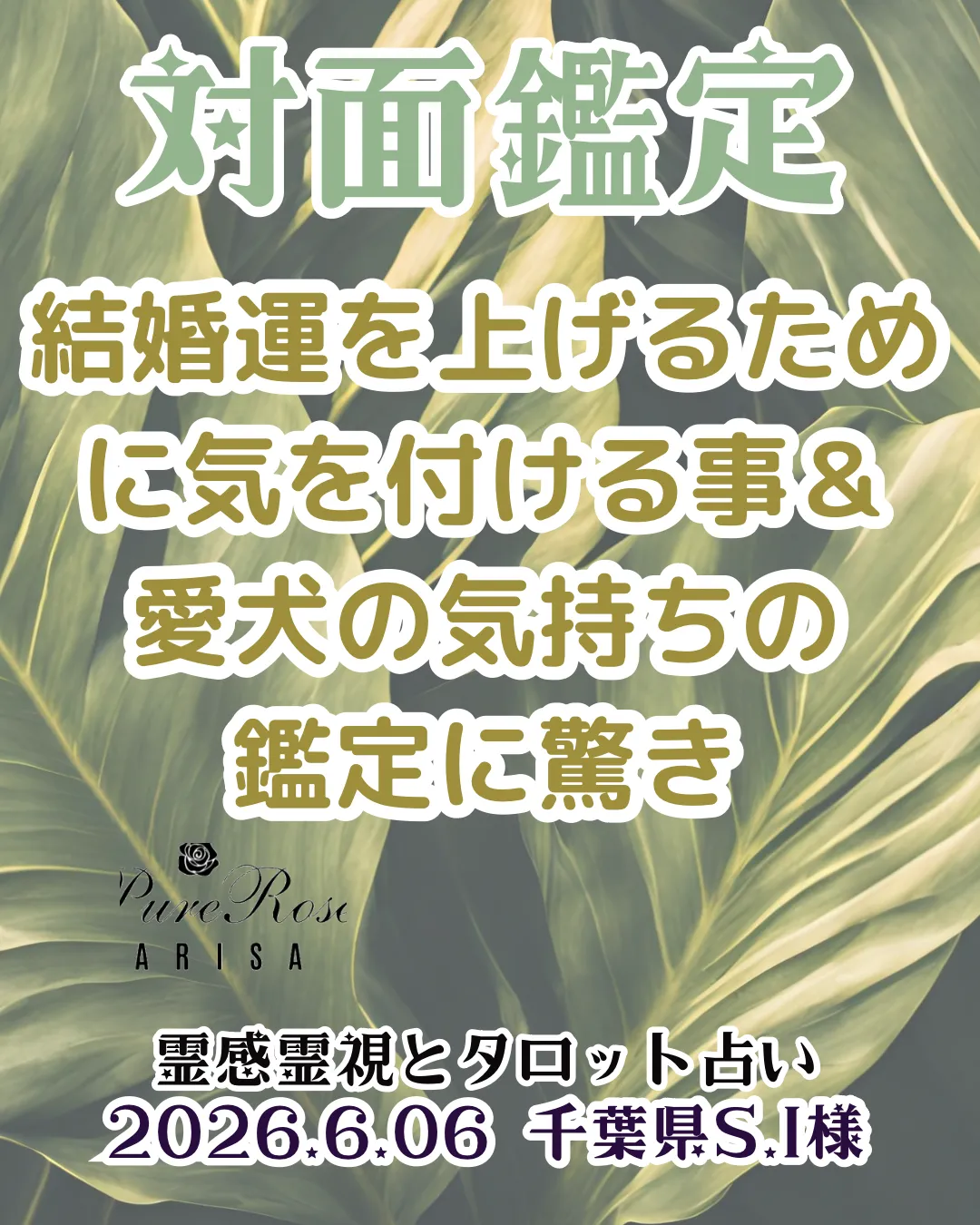 対面鑑定★結婚運を上げるために気を付ける事&愛犬の気持ちの鑑定に驚き★千葉県S.I様