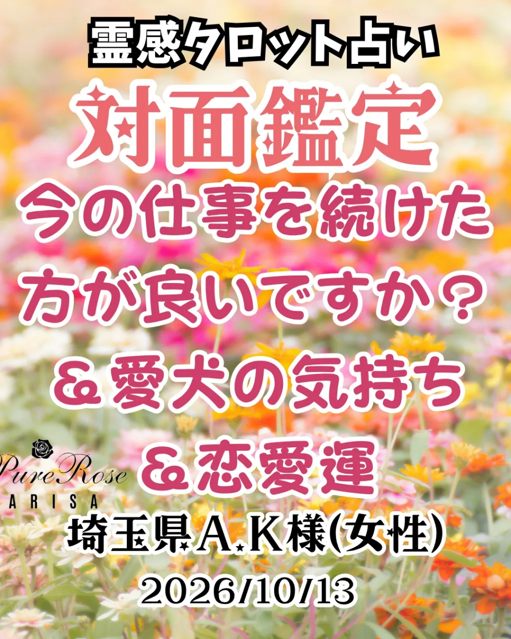 対面鑑定★今の仕事を続けた方が良いですか？＆愛犬の気持ち＆恋愛運★埼玉県A.K様